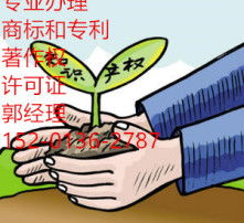 數(shù)字時代的視覺盛宴 高清圖片與網(wǎng)絡(luò)文化經(jīng)營的融合與發(fā)展